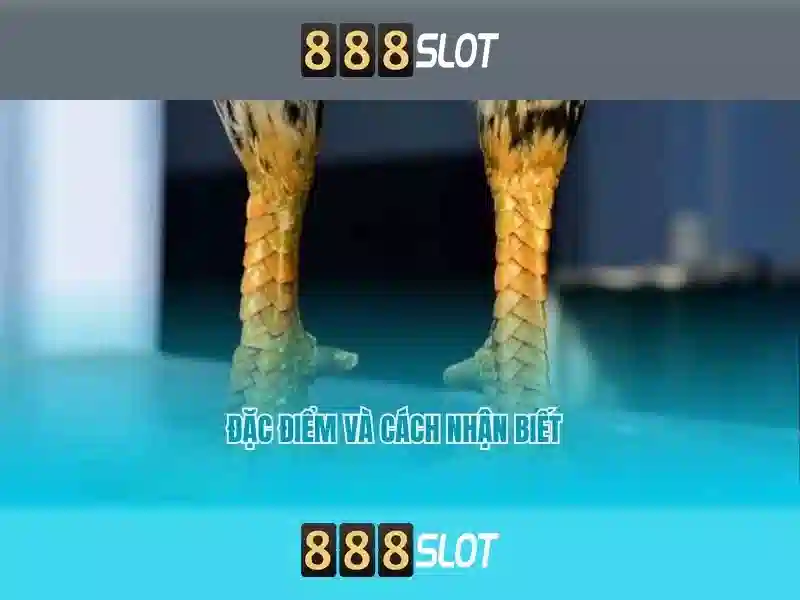 💎lucky 777 slot apk💎