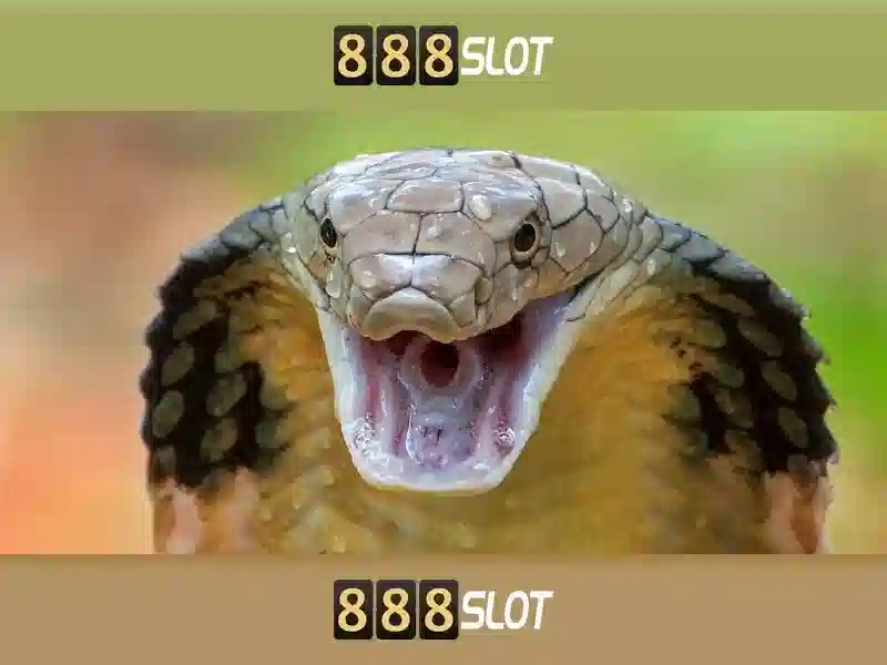 💎sòng bạc macau💎