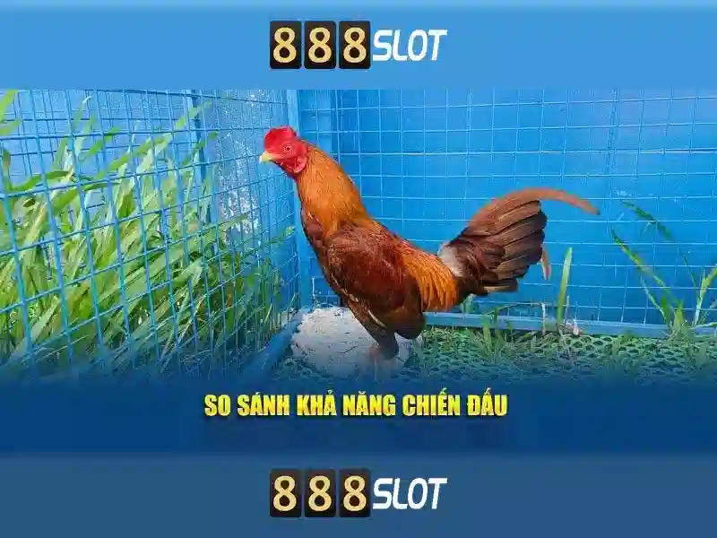 888SLOT - Trải Nghiệm Slot Vip Đỉnh Cao, Thưởng 888 Slot VIP Tối Đa - 888slot