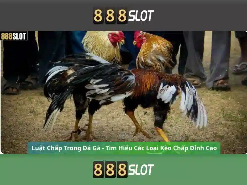 💎slot openen ter heijde💎