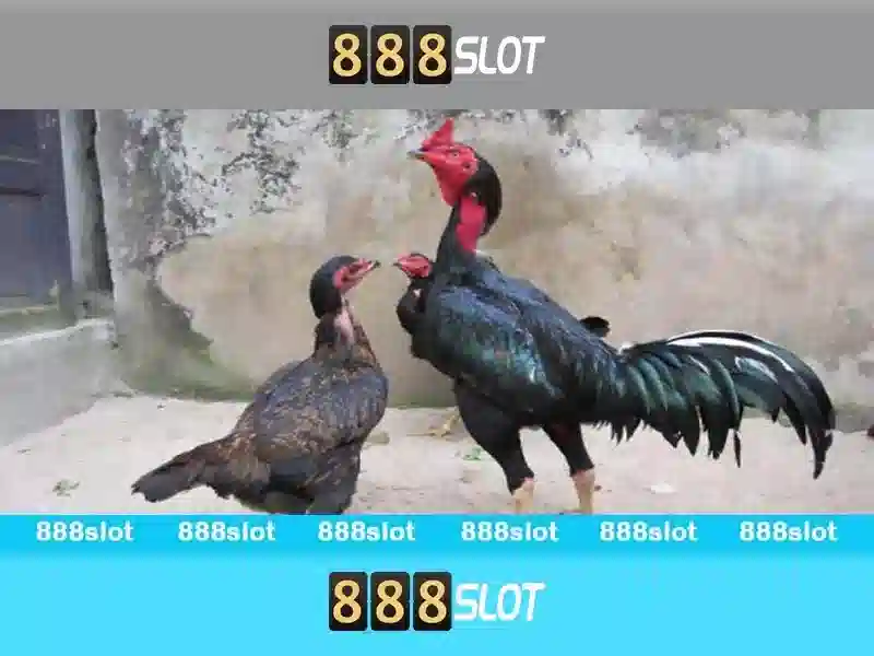 💎hb88 nhà cái uy tín💎 - hb88 thiên đường cá cược - hb88 nhận lì xì