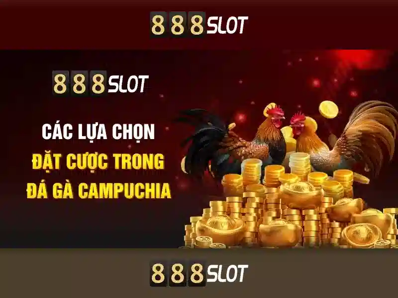 💎nhà cái vf555 news💎