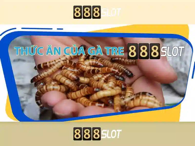 💎888slot media gmbh💎