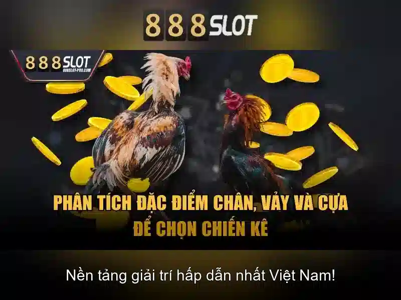 💎trang cá cược bóng đá hợp pháp pxn💎