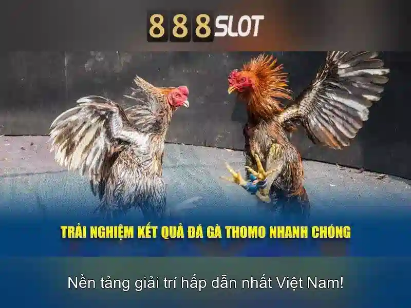 💎nhà cái số 1 top💎