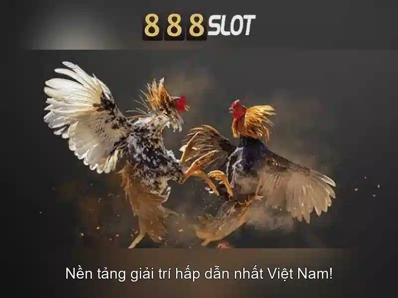 💎tỷ lệ cá cược world cup💎